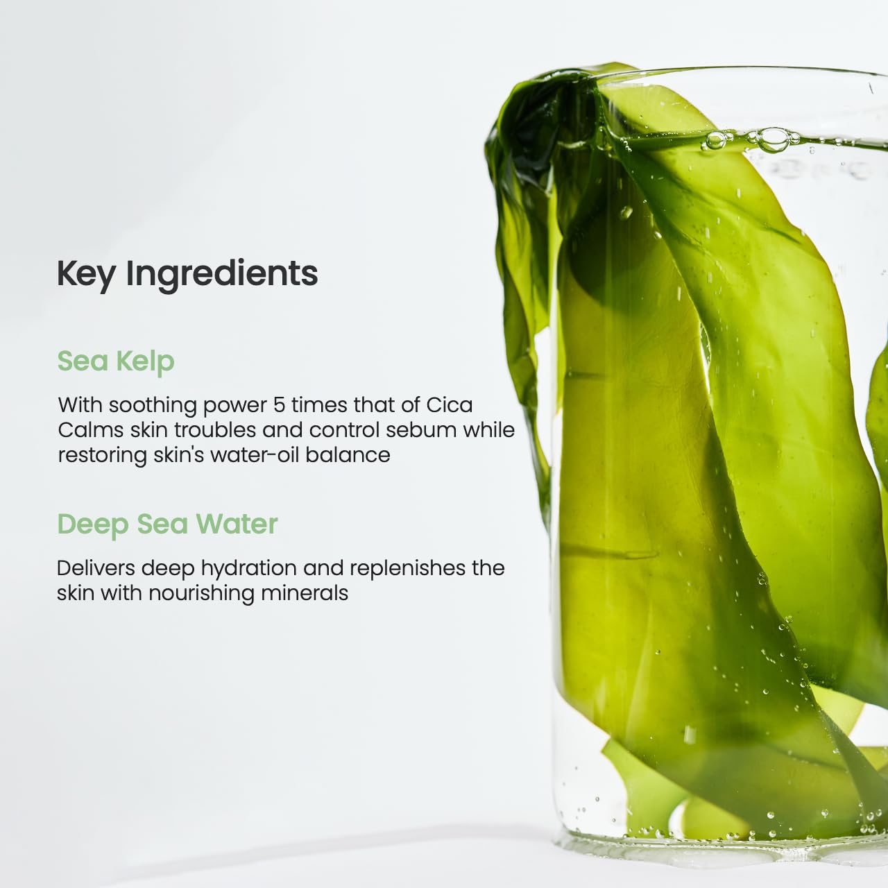 BIODANCE Refreshing Sea kelp Real Deep Mask - Overnight Hydrogel Mask, Calming, Oil & Sebum Control